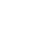 Analog Data